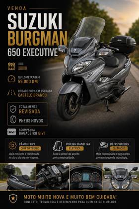 SUZUKI BURGMAN 650 EXECUTIVE SUZUKI BURGMAN 650 EXECUTIVE